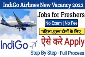 Indigo Recruitment Apply Link 2022