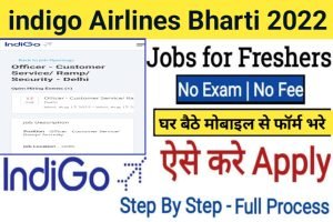 Indigo Recruitment Jobs Apply 2022