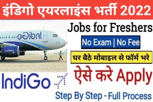 Indigo Airlines Amazing Jobs 2022