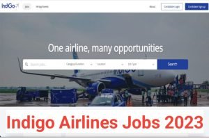 Indigo Airlines Officer Executive Recruitment 2023