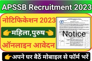APSSB LDC Recruitment 2023