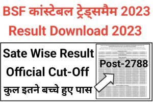 BSF Constable Tradesman Result 2023