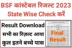 BSF Constable Tradesman Result Download 2023