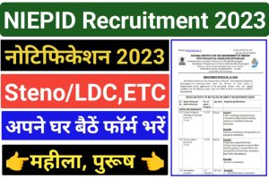 NIEPID Stenographer LDC Typist Recruitment 2023