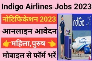 Indigo Officer Executive Assistant Recruitment 2023