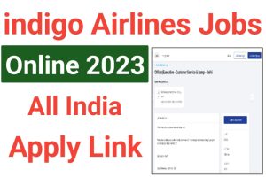 Indigo Customer Service Recruitment 2023