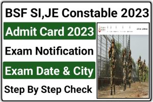 BSF Group B And C Admit Card Download 2023