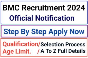 BMC Licence Inspector Recruitment 2024