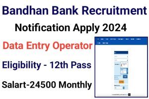 Bandhan Bank Data Entry Operator Job 2024