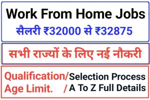 Government Work From Home Job 2024